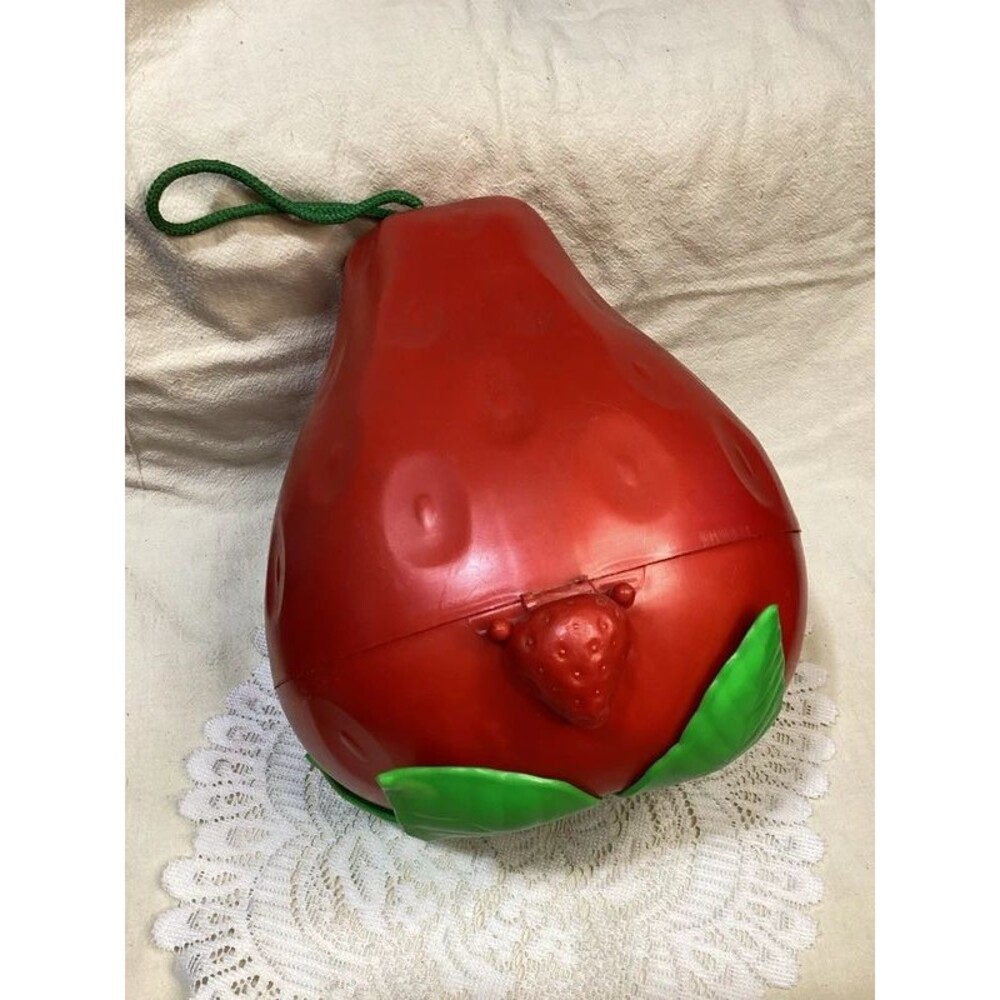 Vintage Original Strawberry Shortcake Doll Carrying Case 1980